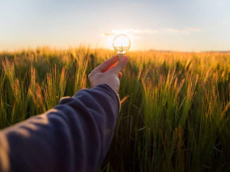 Ledvance celebra el primer aniversario de ‘El Poder de la Luz’ con nuevas iniciativas centradas en el ahorro energético y la eficiencia