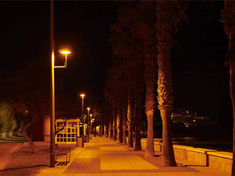 Carandini contribuye a la protección de las tortugas marinas en el Paseo Marítimo de Roda de Berà