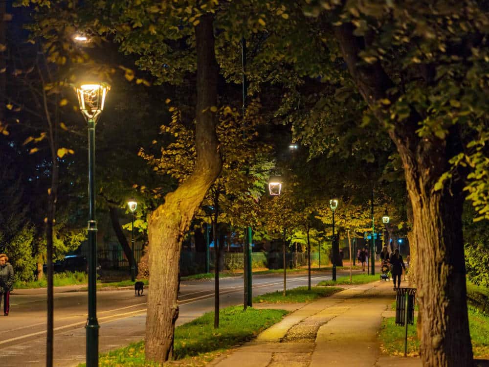 Noticia1 Paseo Sarajevo Detalle Luminarias Carandini
