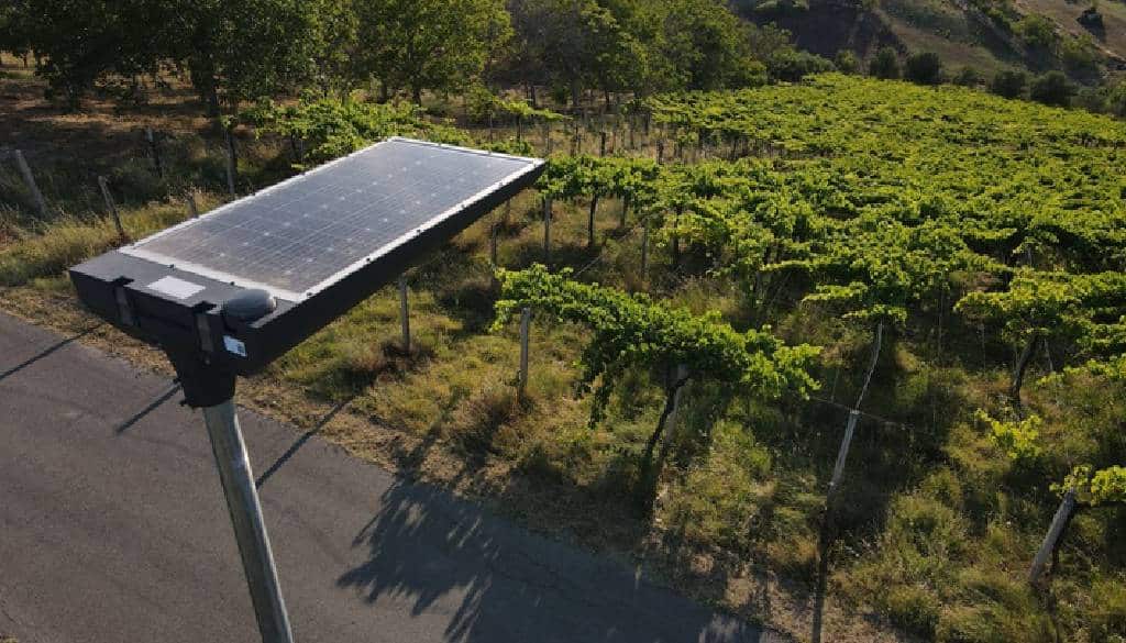 PORTADA Signify revalida la medalla platino de EcoVadis