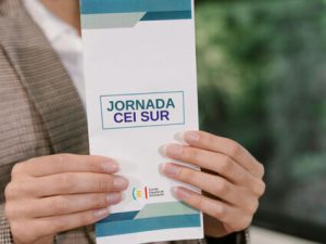 csm Programa Jornada CEI Sur c6bcdd7e0a
